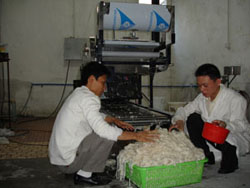 已生產(chǎn)好的河粉.jpg